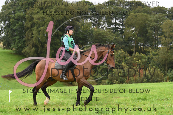 TREC D2 (5)