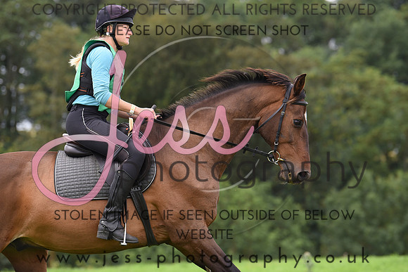 TREC D2 (6)