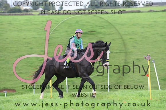 TREC D2 (9)