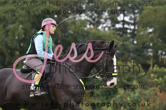 TREC D2 (13)