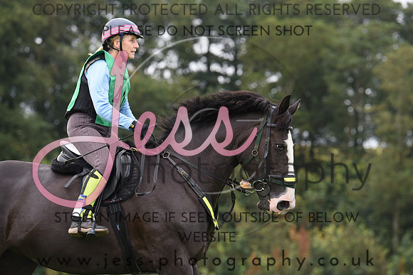 TREC D2 (14)