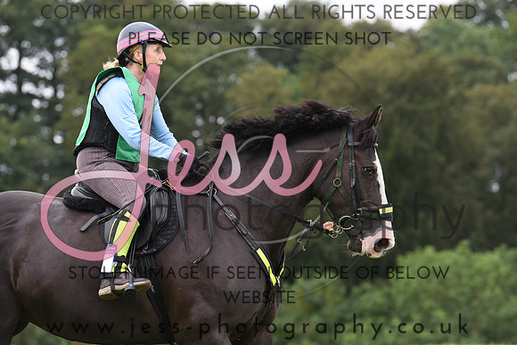 TREC D2 (15)