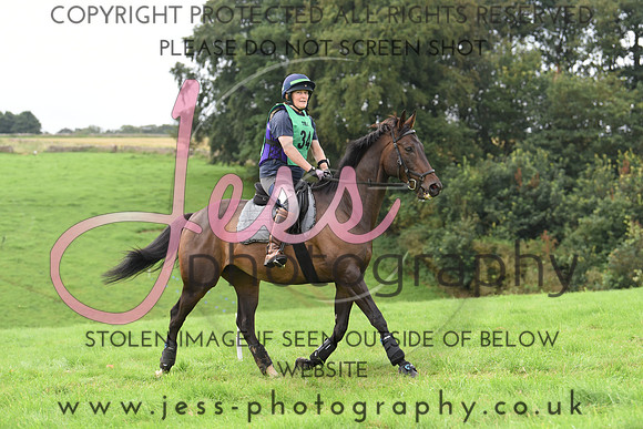 TREC D2 (27)