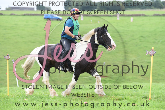 TREC D2 (36)