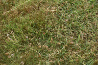 JPG_7351