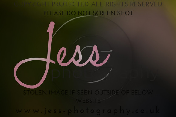 JES (269)