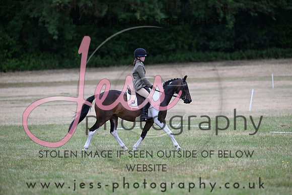 LPC1 (115)