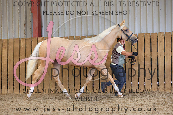 TGS_1006