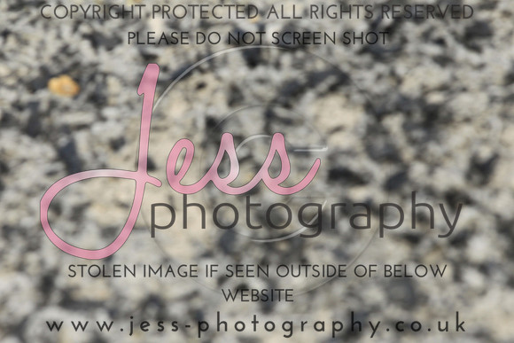 JES_6092