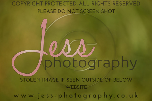 JES (302)