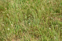 JPG_6548