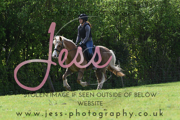 JES_3703