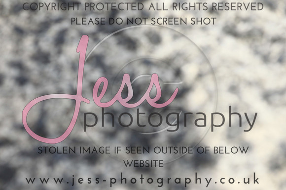 JES_6025