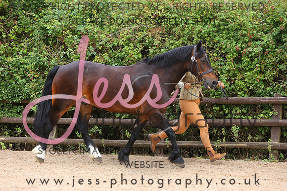 TGS_0637