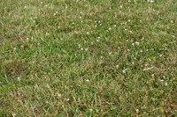 JPG_7020