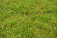 JPG_0060