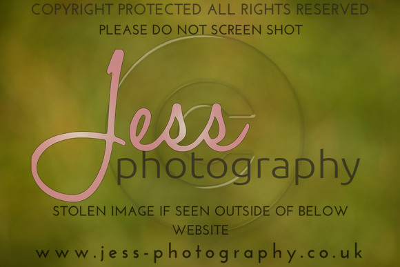 JES_5003
