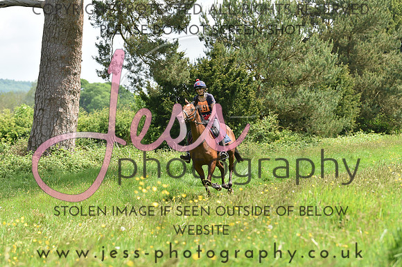 JES_8562