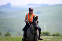 Wessex TREC