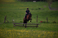 NFR (208)