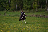 NFR (210)