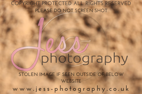 TSJ_0103