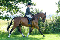 Inkberrow Horse Show 17.07.2021