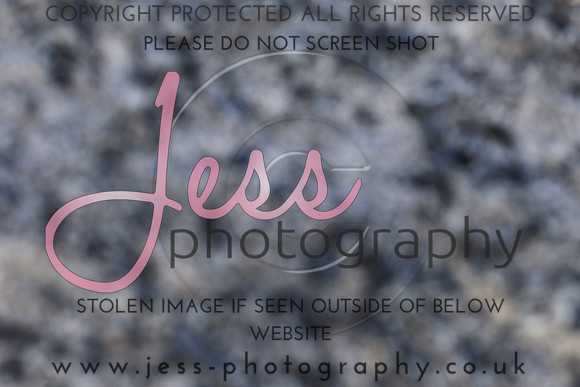 JES_5325