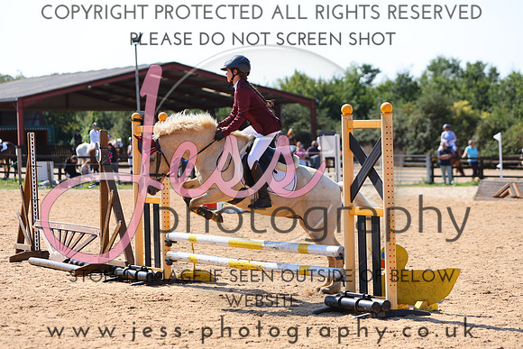 TSJ_0589
