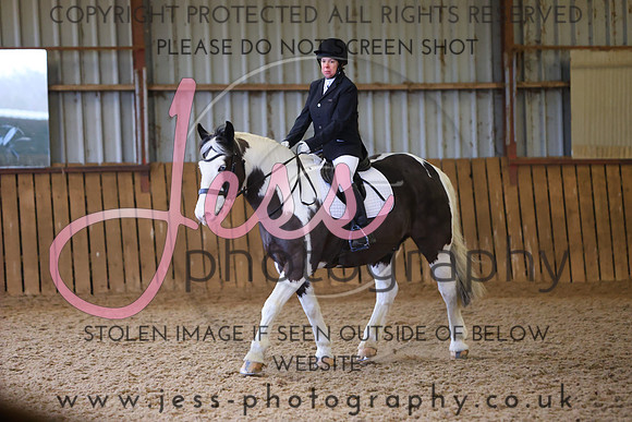 TGSJ1332