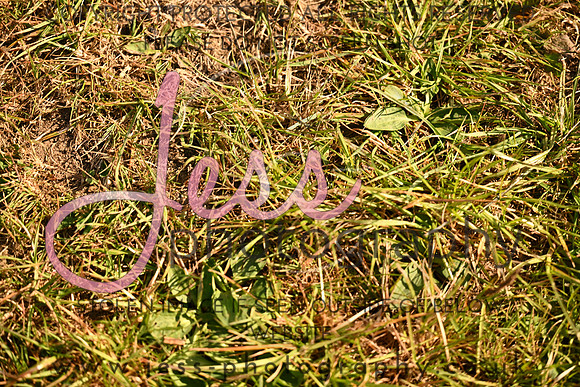 JES_4643