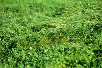 JPG_1620