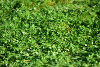 JPG_1633