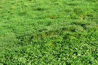 JPG_1644