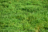 JPG_1778