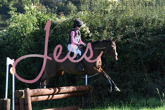 JES_1011
