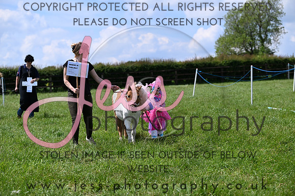 NCHPC2R1 (269)