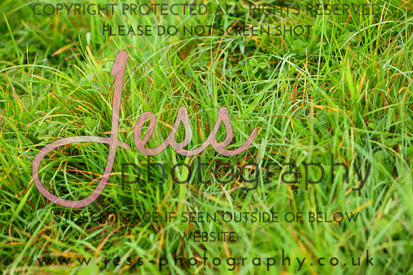 IMGM3783