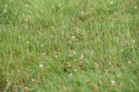 JPG_6753