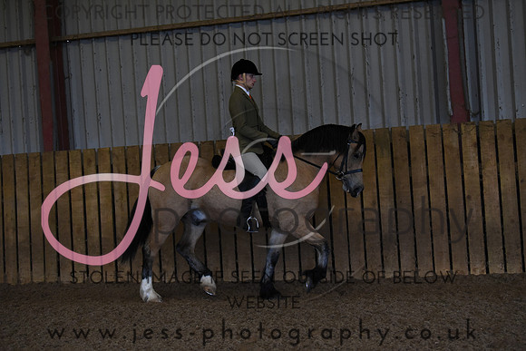 TGS (338)