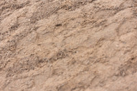 JPG_3451