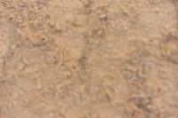 JPG_3623