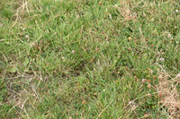 JPG_6997