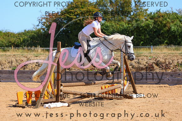 TSJ_0767