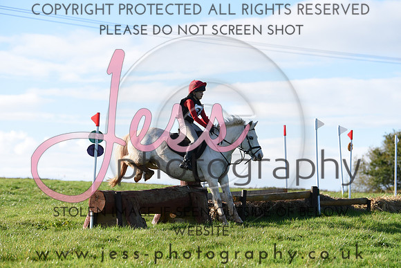 TG (82)