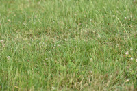 JPG_6623