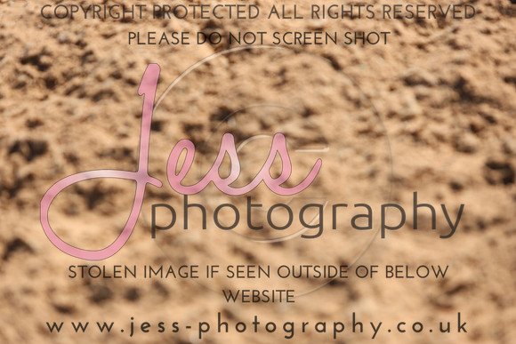 TSJ_0256