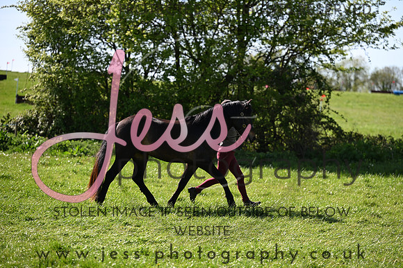TGIS (385)