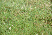 JPG_6832
