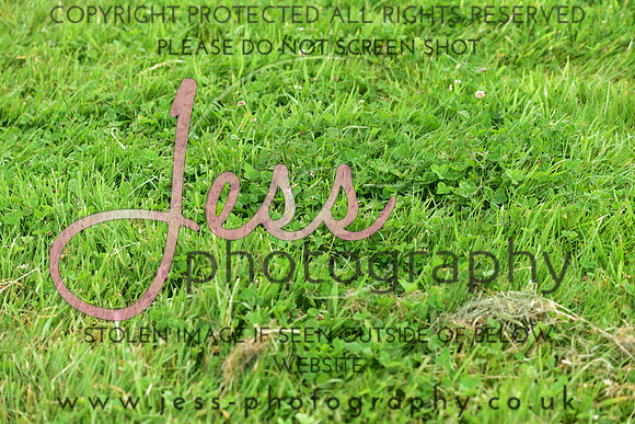 JPG_3007